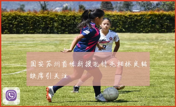 国安苏州首练新援孔特亮相林良铭缺席引关注